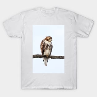 Red-tailed Hawk - Perched T-Shirt